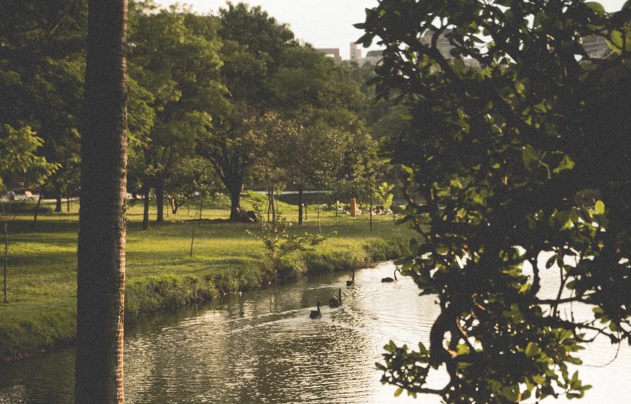 Park in Turkey